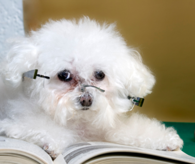 Beneficios de la lectura